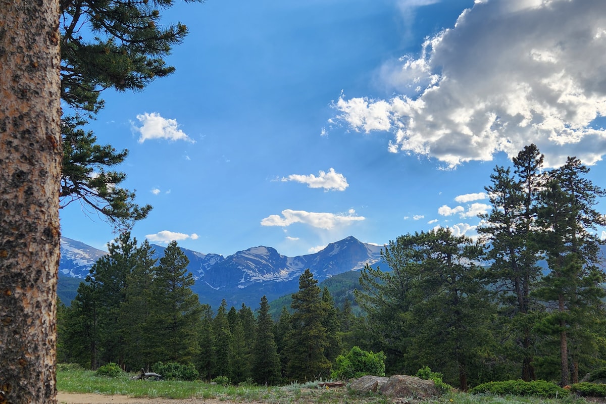 RV Campground & Overnight Parking Fees: Federal, State, and Free Options (2026)